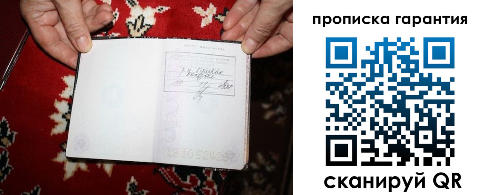 прописка гарантия в Карасуке